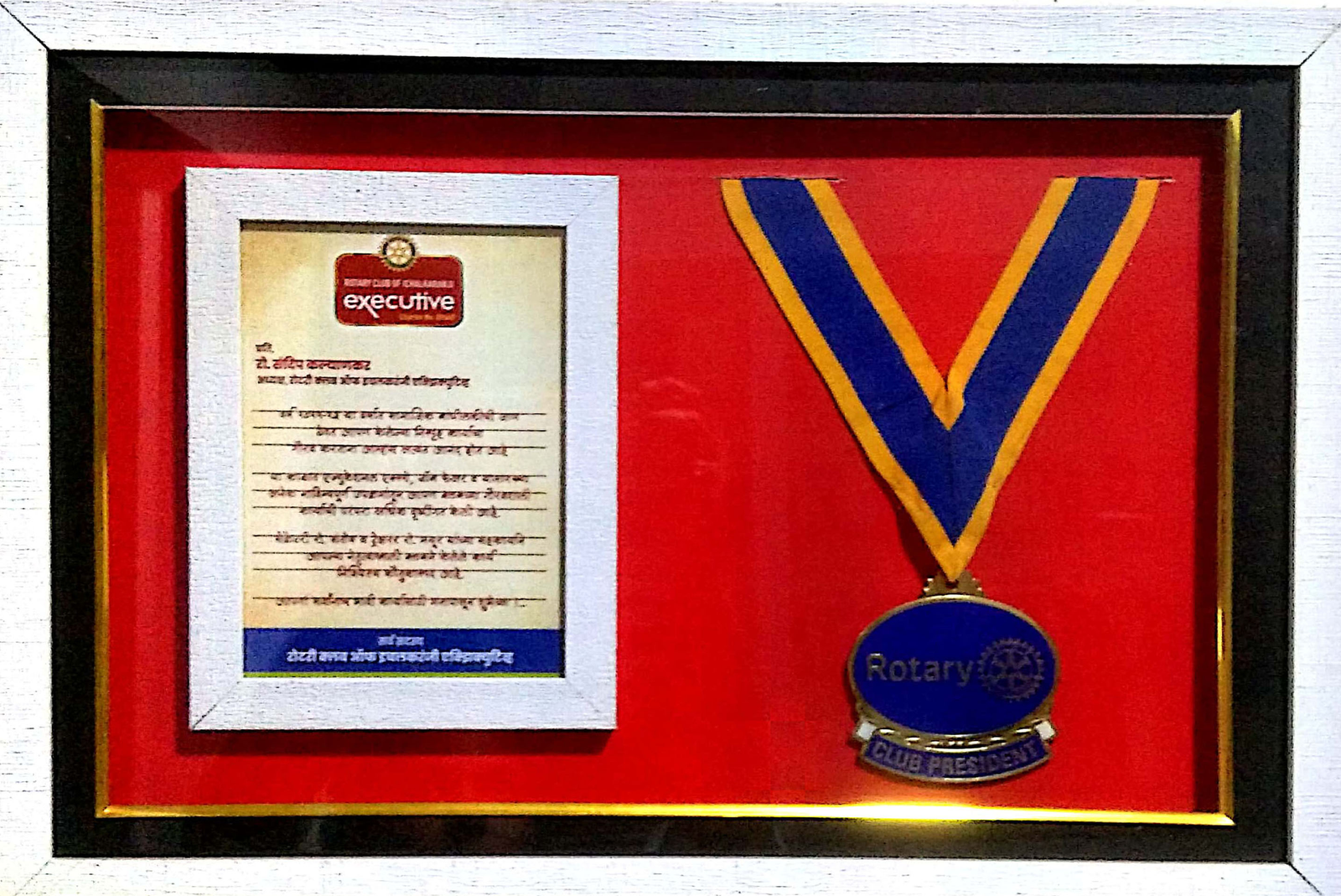 Rotary Club President